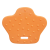 Gulerod Orange