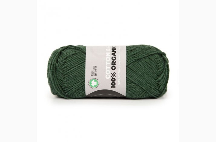 Mayflower Cotton Organic - NY 15 HAVGRN