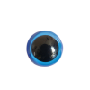 Bl