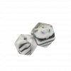 1112 Zebra